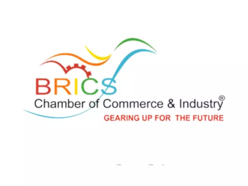 BRICS Chamber of Commerce Announces Governing Body Elections for 2026-2029 Term