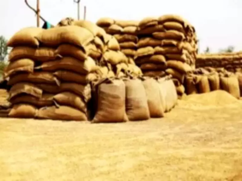 Buxar wheat procurement resumes with 10-fold target hike to 6,040 MT