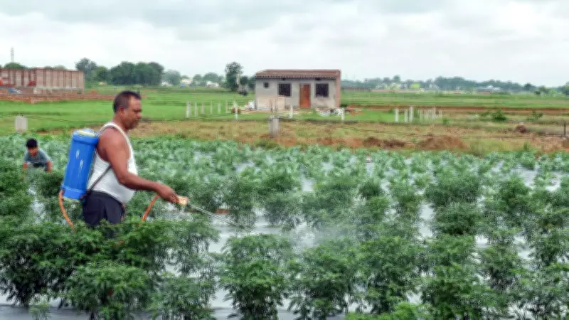 Cabinet Approves Rs 41,534 Crore Fertiliser Subsidy for Kharif 2026 Season