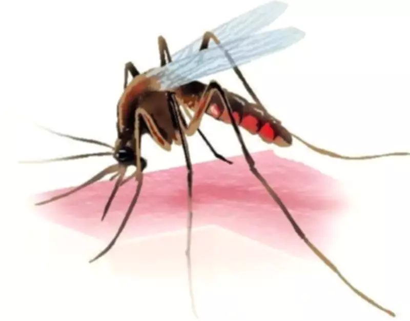 Calicut University Researchers Launch Startup for Eco-Friendly Mosquito Control