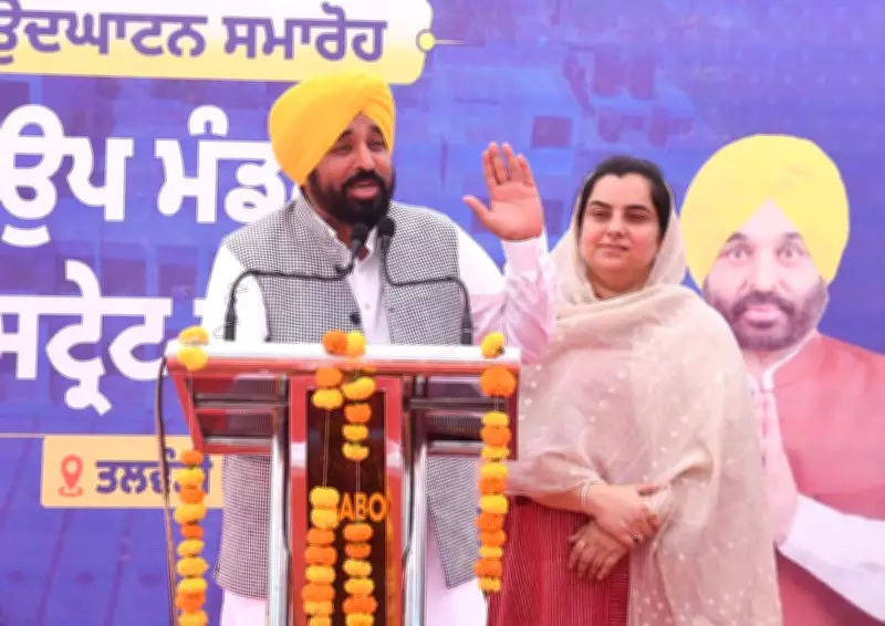Central Government Orders Survey for Border Fencing Shift, Punjab CM Hails Relief for Farmers