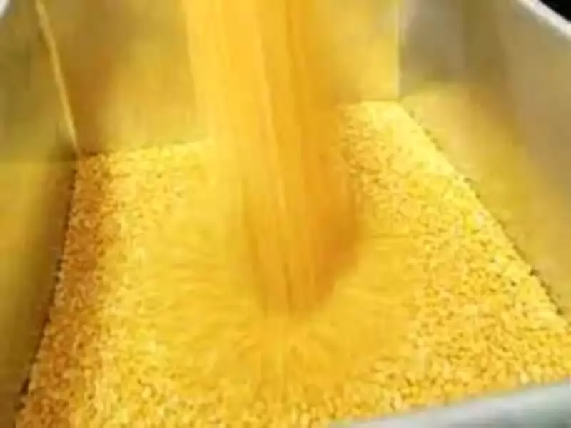 Centre Approves MSP Procurement of Gram and Mustard for Bihar Farmers