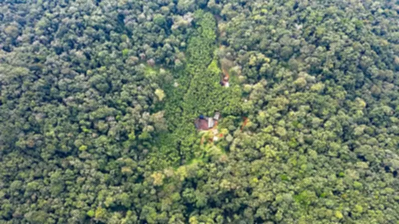 Centre Issues Draft Notification for Eco-Sensitive Zone Around Karnataka's Kali Tiger Reserve