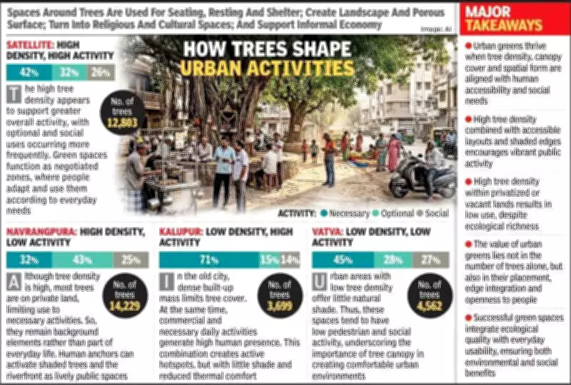 CEPT Study Reveals Ahmedabad's Uneven Tree Cover and Informal Green Spaces
