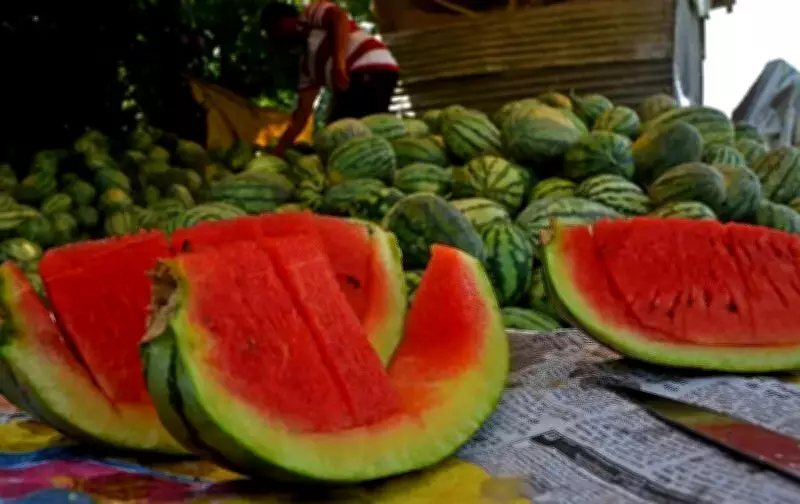 Chandigarh Food Dept Conducts Random Watermelon Sampling After Mumbai Deaths