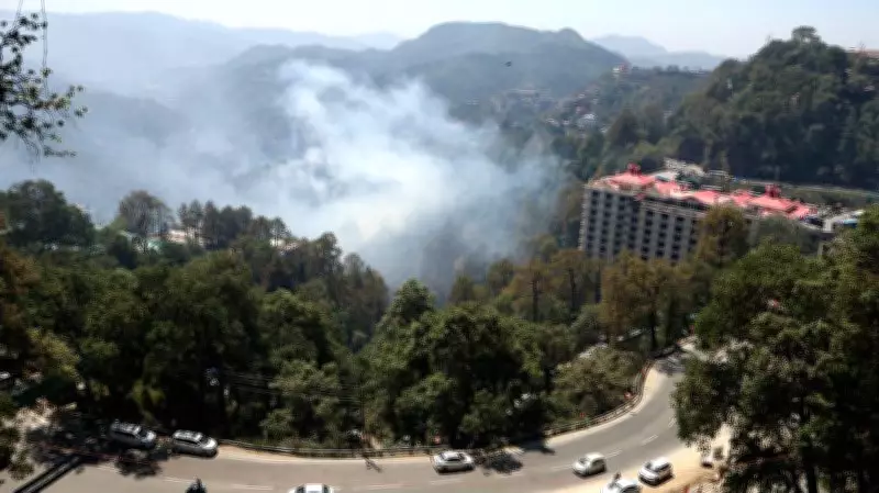 Chandigarh Launches Forest Fire Safety Drive to Prevent Wildfires