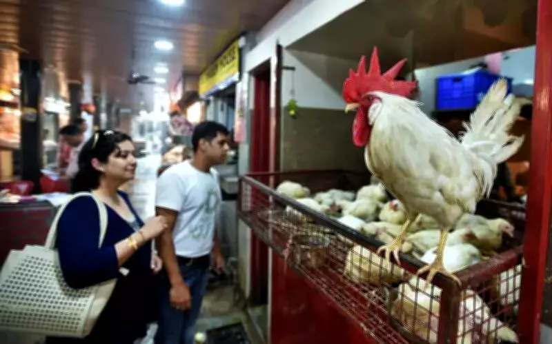 Chandigarh Meat Prices Soar: Chicken Up 25%, Mutton Costlier Amid Supply Crunch