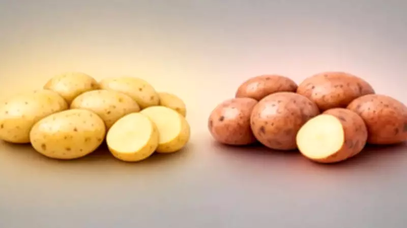 Chandramukhi vs Jyoti Potatoes: Bengal's Culinary Secret Revealed