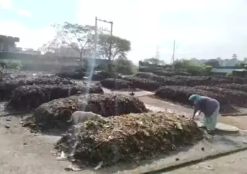 Chennai Corporation Plans New Composting Plants to Manage Wet Waste