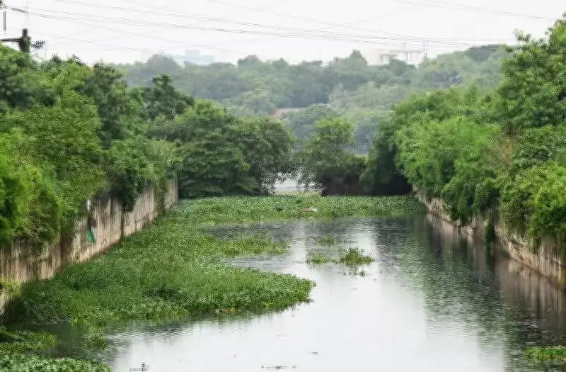 Chennai's Buckingham Canal to Get 45 Crore Green Makeover with Walkways and Forests