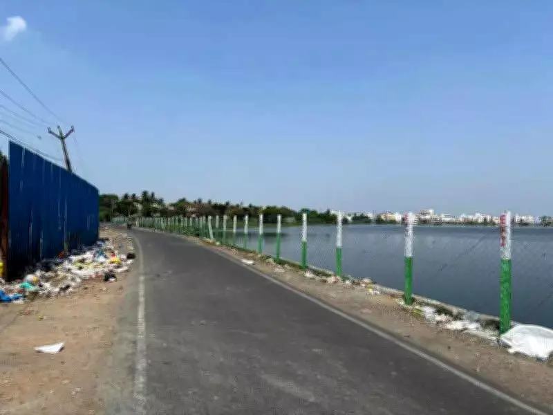 Chennai's Nanmangalam Lake Suffers Severe Pollution and Neglect