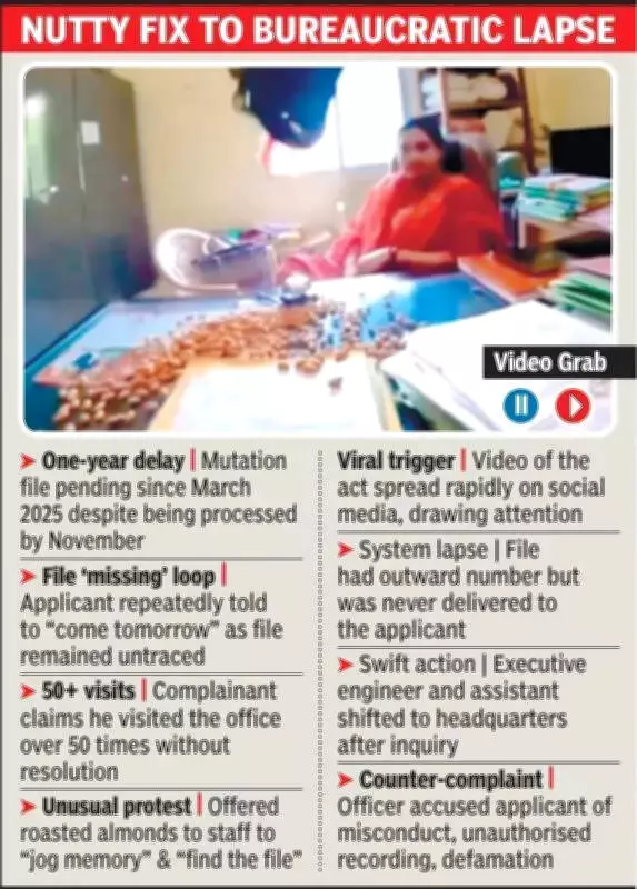 Chhattisgarh Homebuyer's Almond Protest Exposes Housing Board Delays, Triggers Action