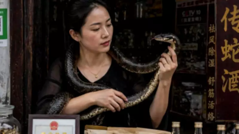 Chinese Graduate Turns Family Snake Farm into Million-Yuan Business