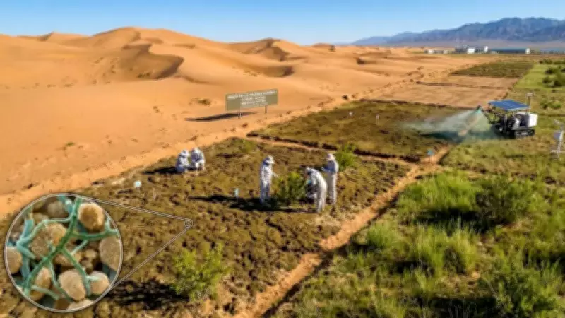 Chinese Scientists Transform Desert Sand into Fertile Soil in Just 10 Months