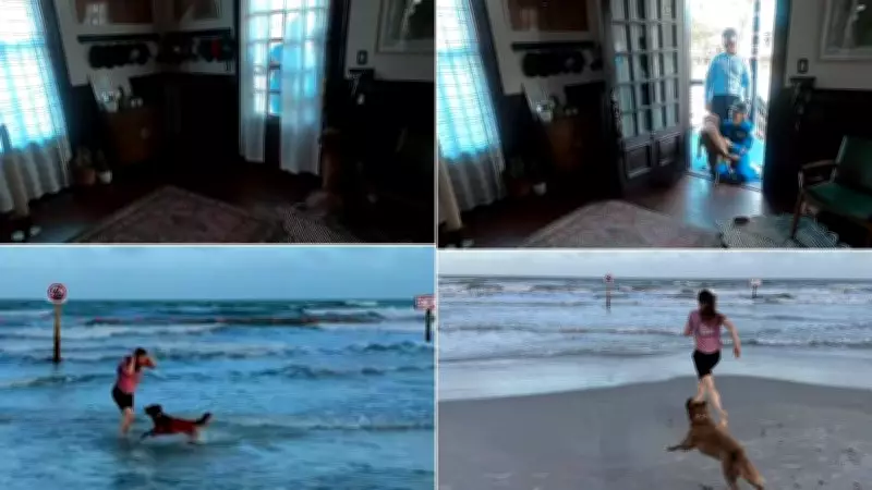 Christina Koch's Emotional Reunion with Dog After Space Mission Goes Viral