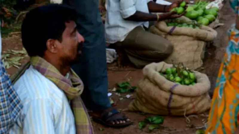 Climate Change Puts Karnataka's Appemidi Mango at Risk, Conservationists Warn