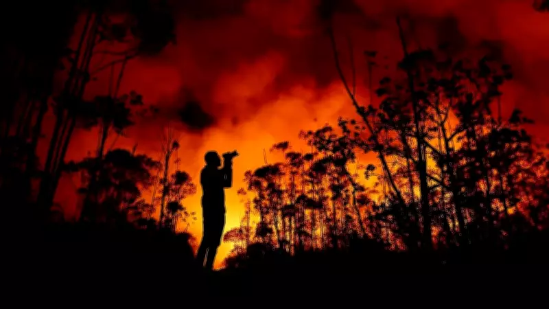 Climate Crisis May Threaten 74% of Animal Habitats by 2050: Report