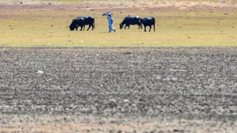 Climate Risks Cast Shadow Over Upcoming April Assembly Elections in India