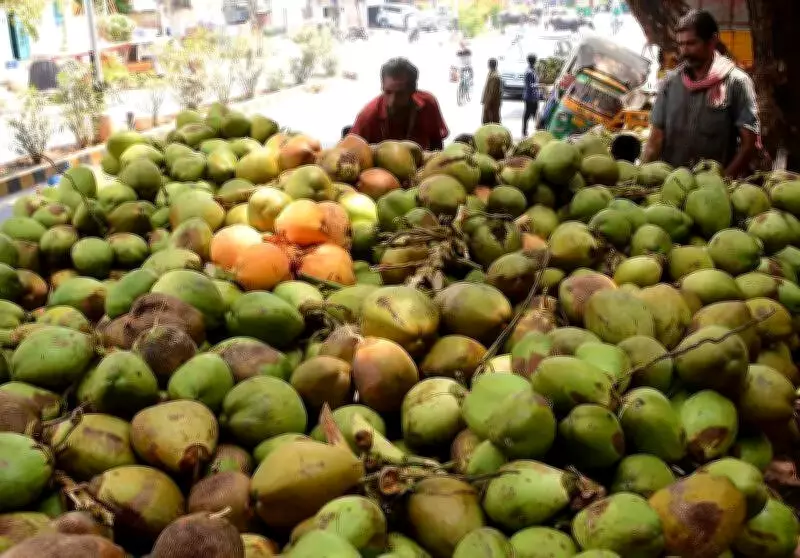 Coconut Shortage Hits Srikakulam's Uddanam Area, Imports Rise