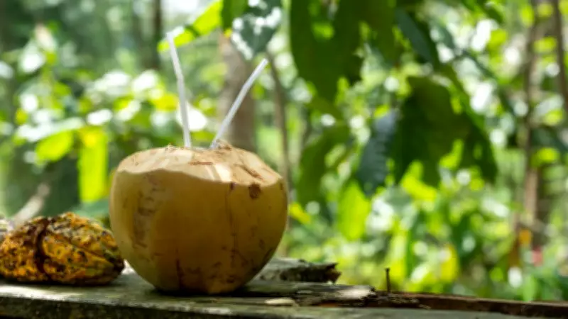 Coconut Water: Overrated Hydration or Superior to Plain Water?