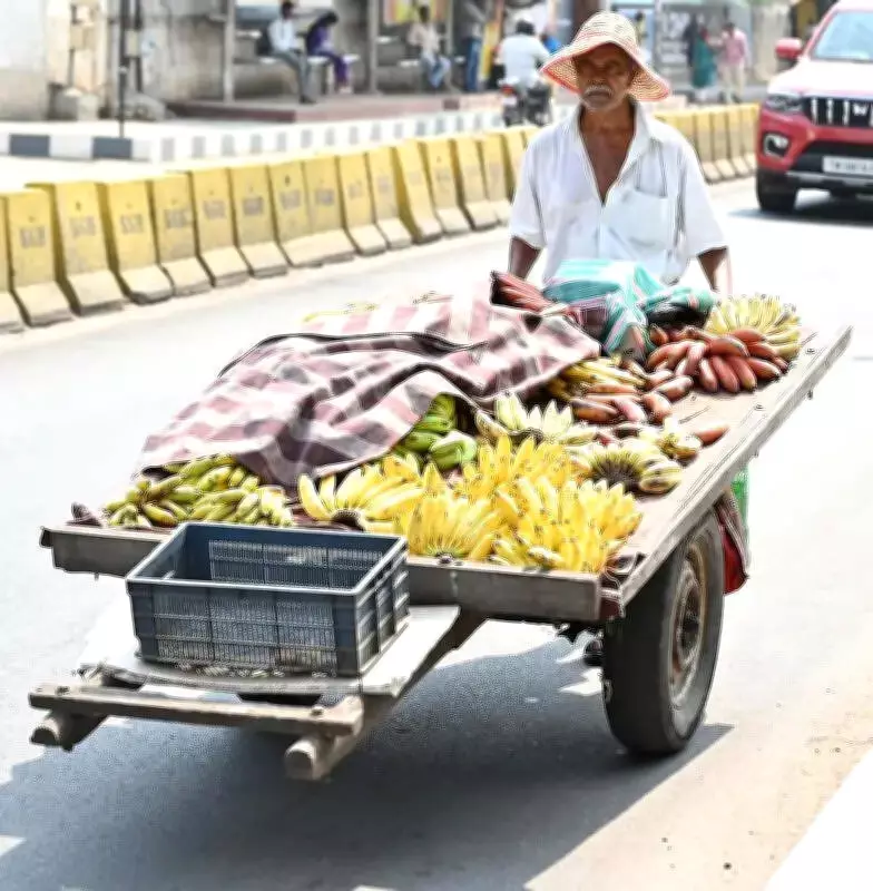 Coimbatore Heatwave: Real Feel Exceeds Recorded Temperatures, Relief Unlikely