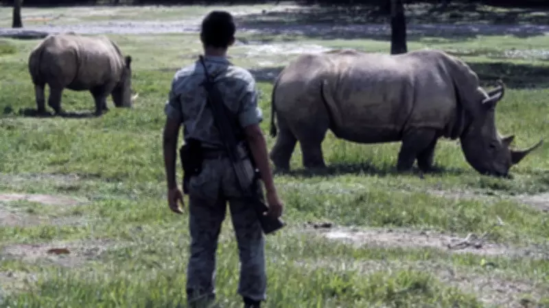 Colombia's Hippo Crisis: Pablo Escobar's Legacy Sparks Environmental Debate