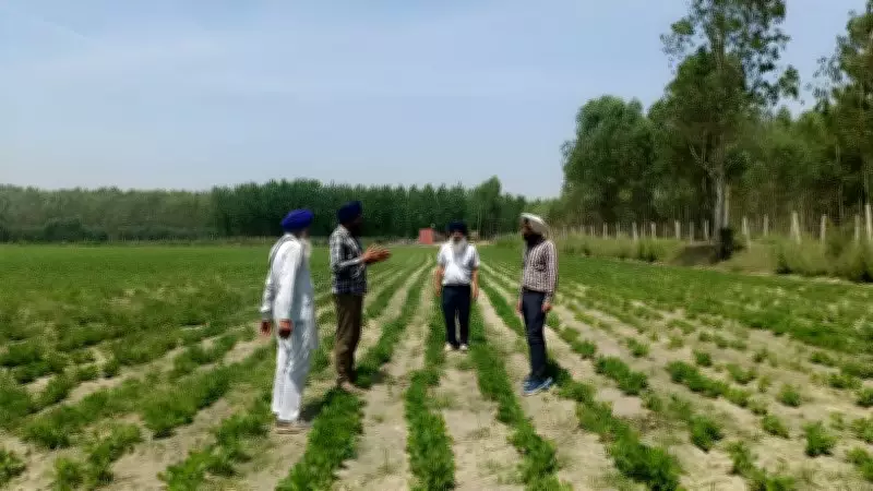 Community Seed Banks Help Flood-Hit Punjab Farmers Restore Crop Productivity