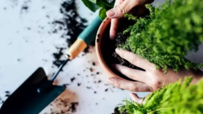 Complete Australian Autumn Gardening Guide: What to Plant in April-May 2026