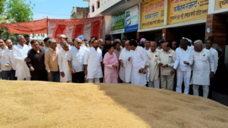 Congress MP Selja Accuses Haryana Government of Creating Hurdles for Farmers