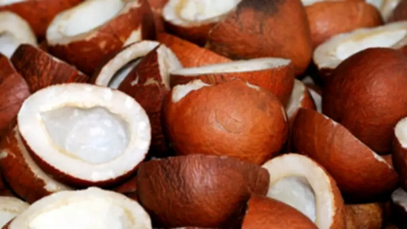 Copra Prices Soar to Record High of Rs 38,000 per Quintal in Tumakuru