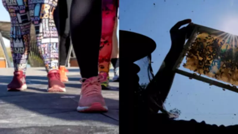 Cornwall Council's Glyphosate Plan Sparks Major Backlash from Residents