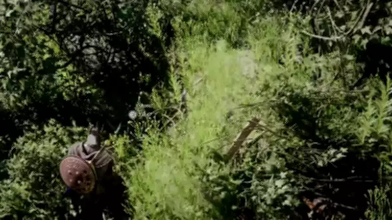 Crimson Desert: Complete Guide to Finding and Using Skyroot