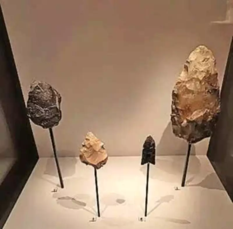 CSMVS Museum Launches Major Stone Age Exhibition to Highlight India's Pre-History