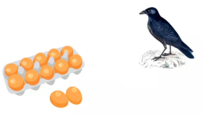 Curious Case of Missing Eggs and Crafty Crow in Bangalore