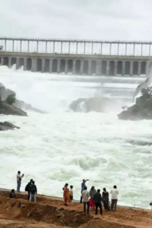 CWMA directs Karnataka to release 2.5 tmc Cauvery water to Tamil Nadu for May