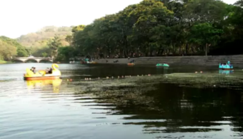 Dahisar River in Mumbai's SGNP Undergoes Major Rejuvenation Project