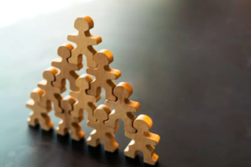 Daily Quiz: A Comprehensive Guide for Exam Preparation and Success