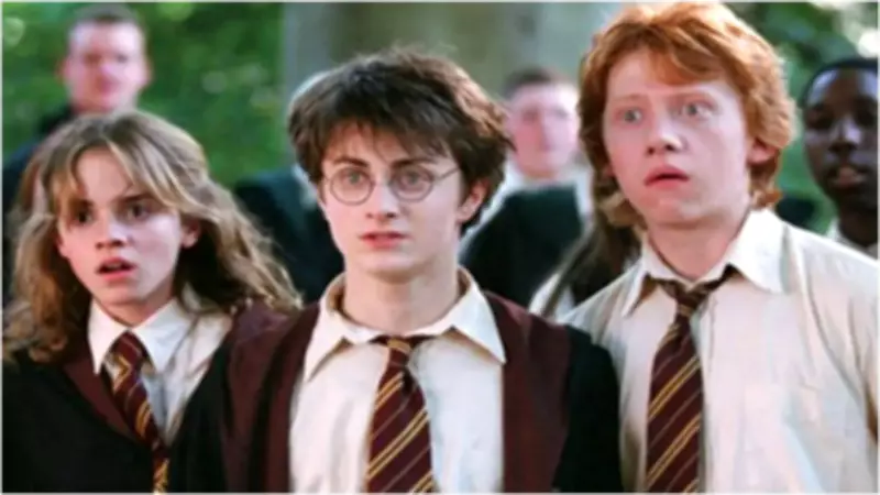 Daniel Radcliffe Ranks Harry Potter Films: Deathly Hallows 2 Top, Half-Blood Prince Bottom