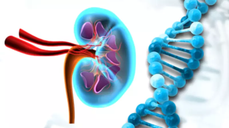 Decoding Kidney Disorders: The Critical Role of Genetics and Family History