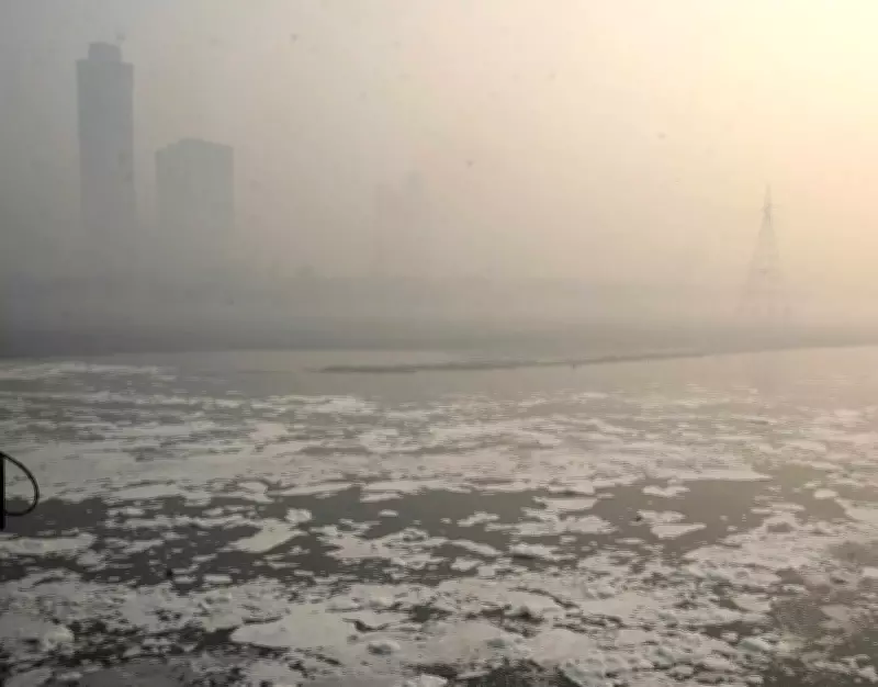 Delhi Government to Install 41 Online Stations for Real-Time Yamuna River Pollution Monitoring