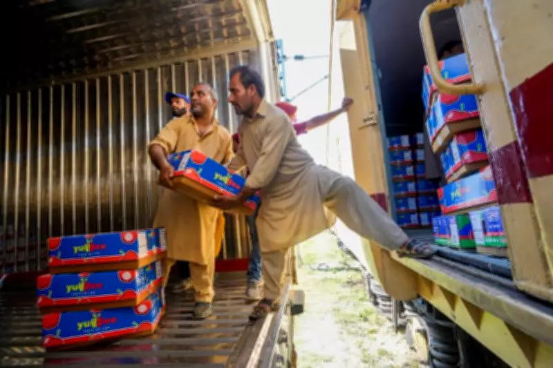 Delhi-Kashmir Parcel Train Service Launches Today, Boosting Trade and Connectivity