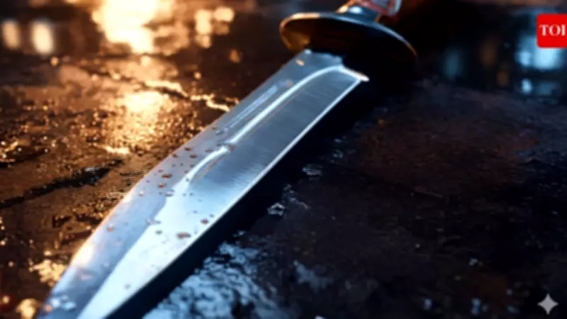 Delhi Man Arrested for Stabbing Wife; Had Prior Murder Case