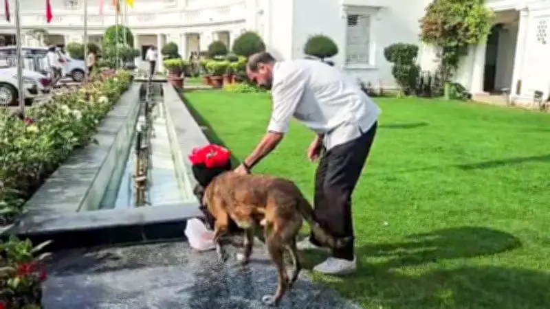 Delhi Police Arrests Man After Car Breaches Assembly Barricades