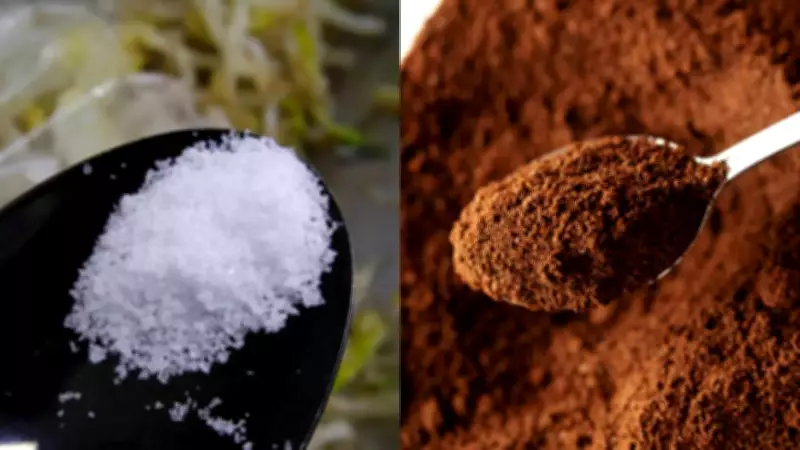 Delhi Police Busts Major Counterfeit Food Racket, Seizes Fake ENO & Nescafé