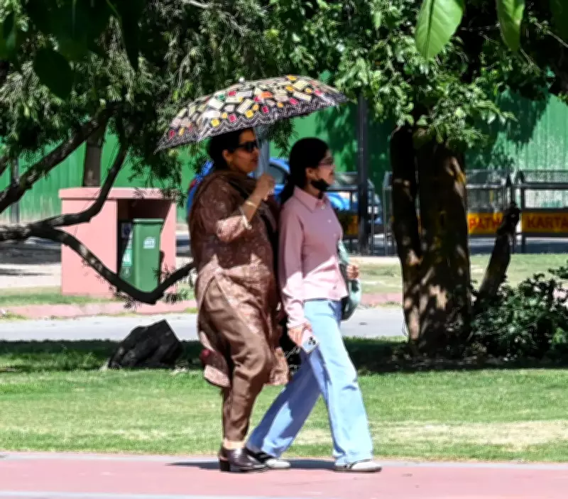 Delhi Records Hottest Day of 2024 at 38.2°C, Heatwave Alert Looms