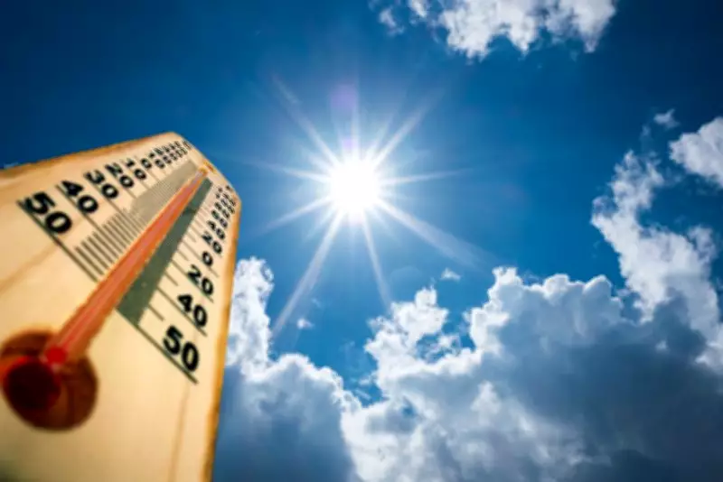 Delhi Sizzles at 41.7°C, Hottest Day of Season