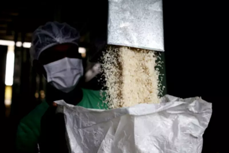 DFSC Recommends Departmental Action Against Two Officials in Haryana Paddy Missing Case