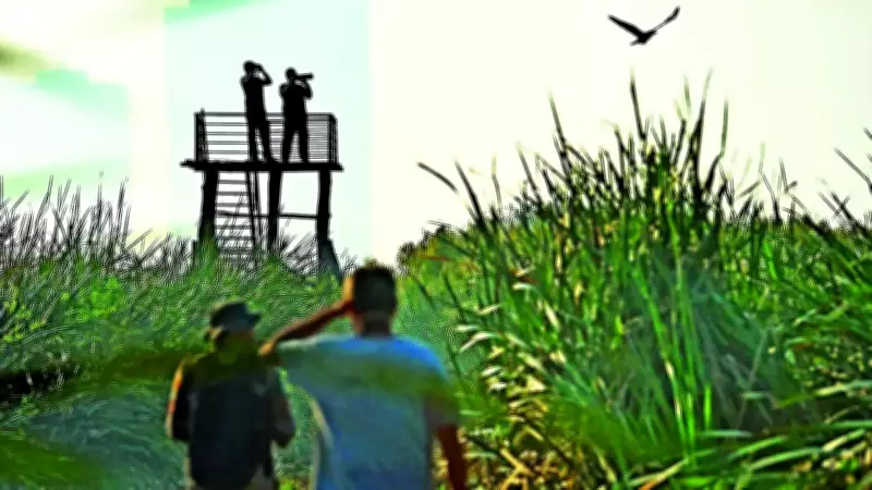 Dhanauri's Ramsar Tag Delay: Wetland Status Stuck in Bureaucratic Maze