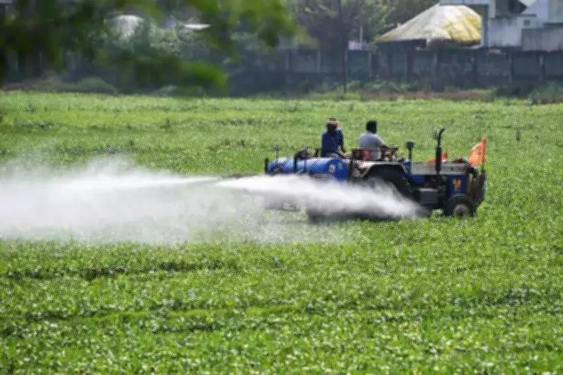 Diesel shortage hits paddy harvest, shrimp farming in North Andhra