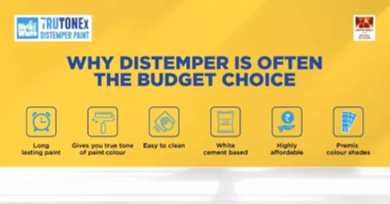 Distemper vs Emulsion Paint: Key Differences Before Choosing